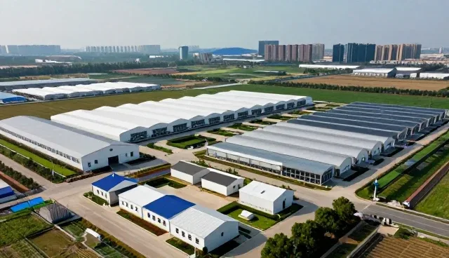 行业定制服务在市场调研中的灵活应用与实践